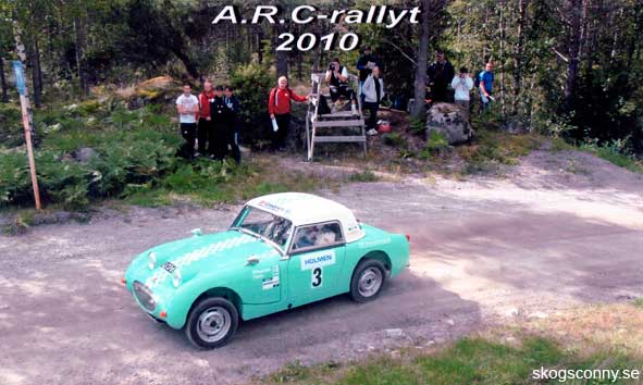 Austin Healey Almunge 2010